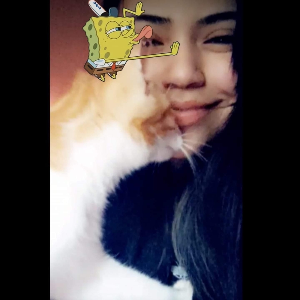 Meet your Posher, Prriscilla